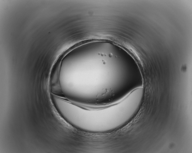X0000099311080200805091012