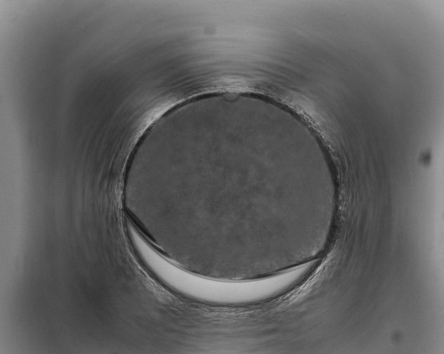 X0000099311081200805091012