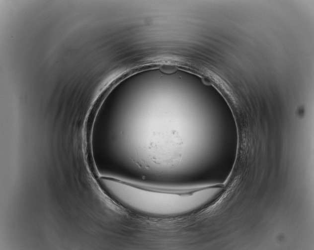 X0000099311082200805091012