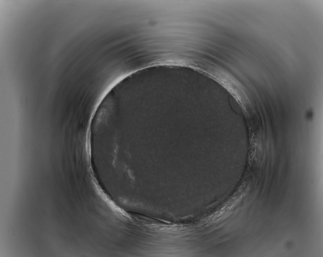 X0000099311084200805091012