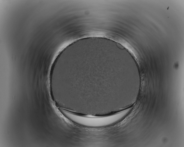 X0000099311088200805091012