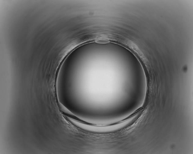 X0000099311089200805091012