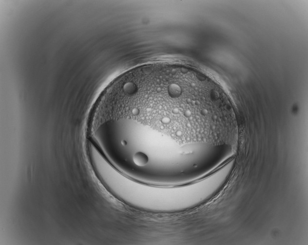 X0000099311091200805091012