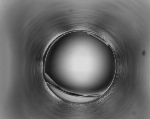 X0000099311092200805091012