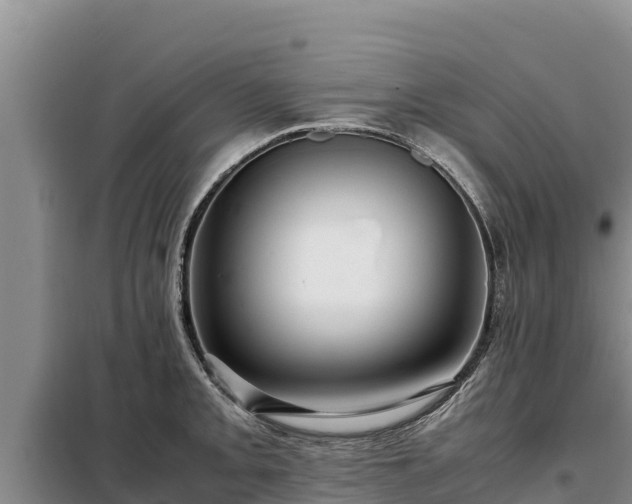 X0000099311093200805091012