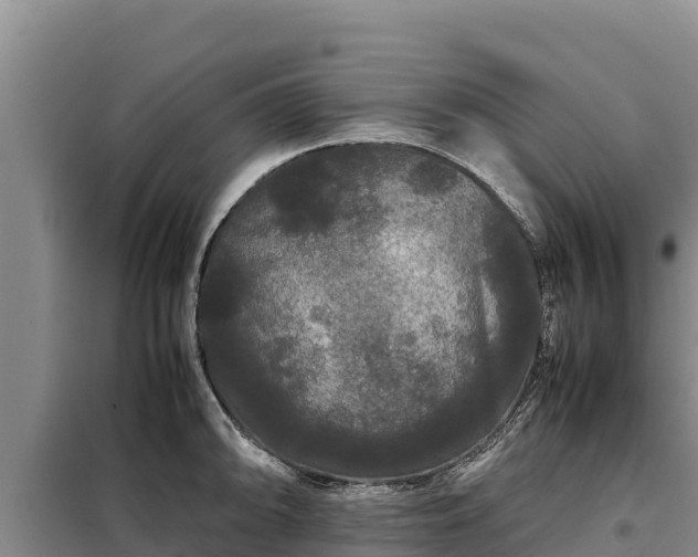 X0000099311094200805091012