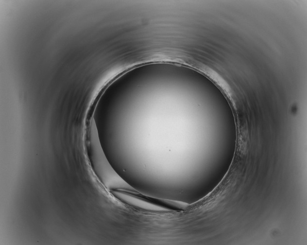 X0000099311096200805091012