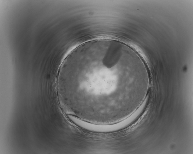 X0000099311097200805091012