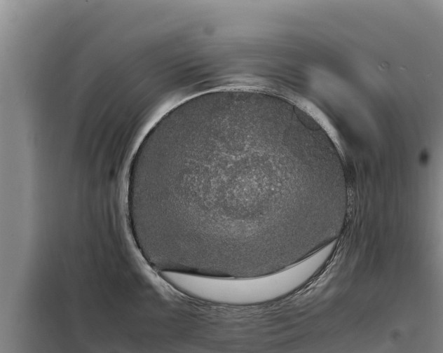 X0000099311099200805091012
