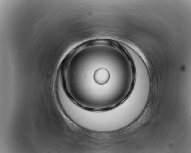 X0000099311101200805091012