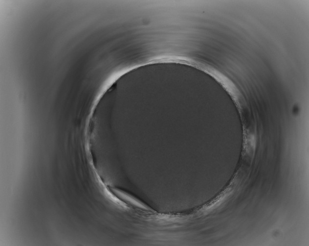 X0000099311102200805091012