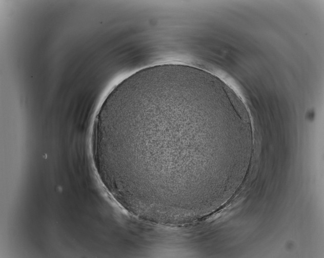 X0000099311104200805091012