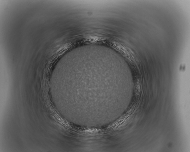 X0000099311105200805091011