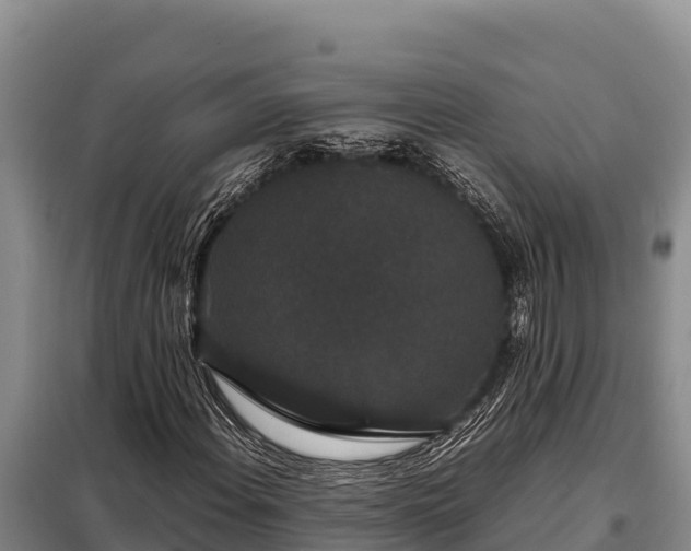 X0000099311108200805091011