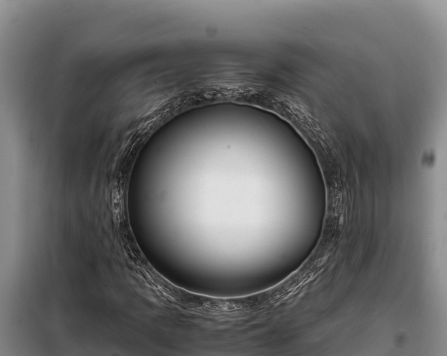 X0000099311109200805091011