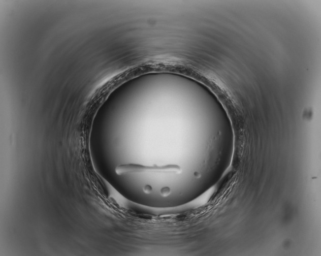 X0000099311112200805091011