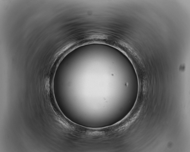 X0000099311113200805091011