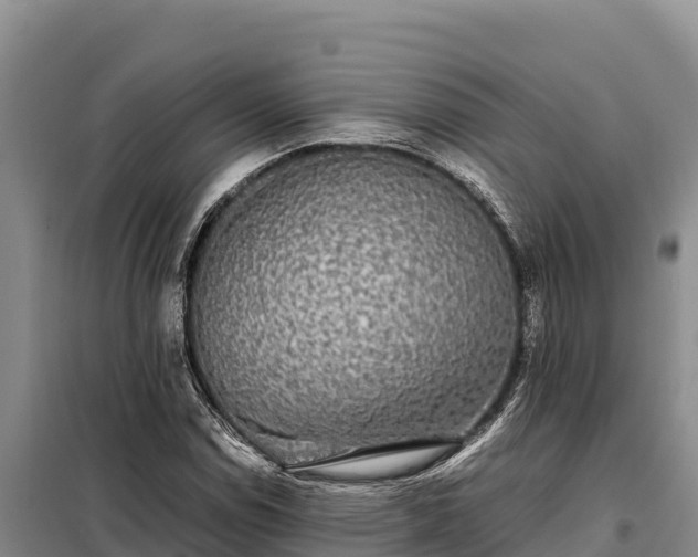X0000099311114200805091011