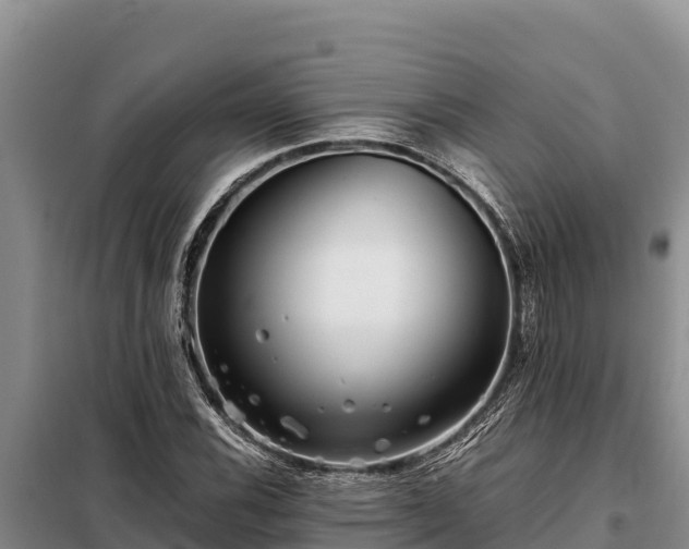 X0000099311116200805091011