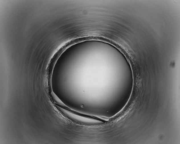 X0000099311118200805091011