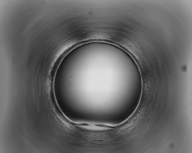 X0000099311119200805091011