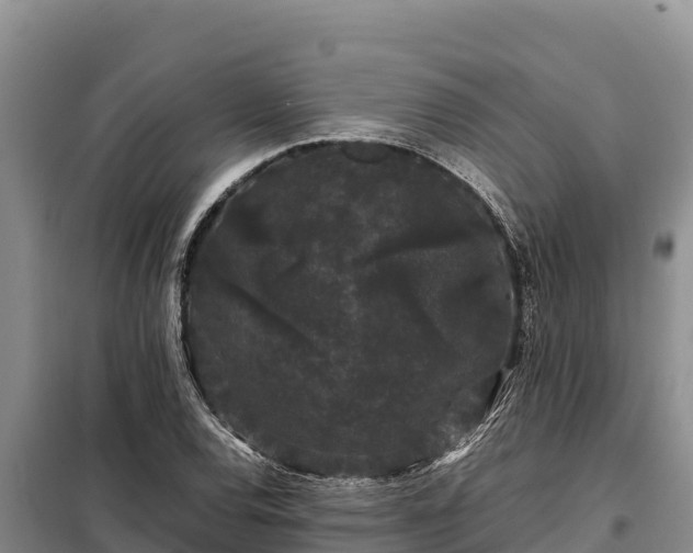 X0000099311120200805091011