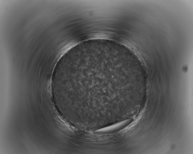 X0000099311121200805091011