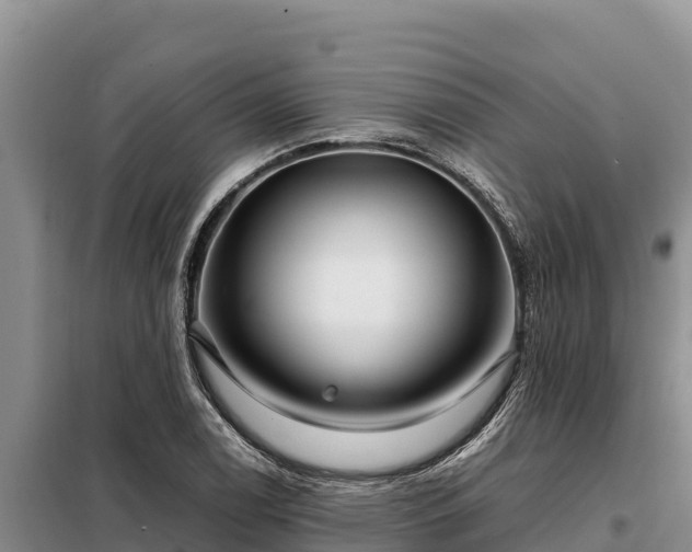 X0000099311122200805091011
