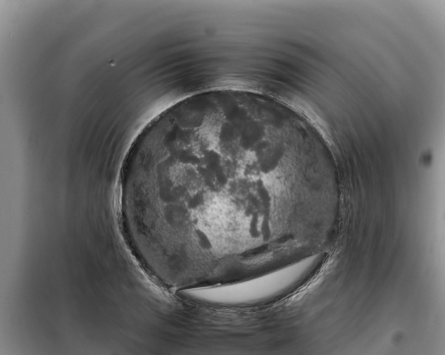 X0000099311125200805091011