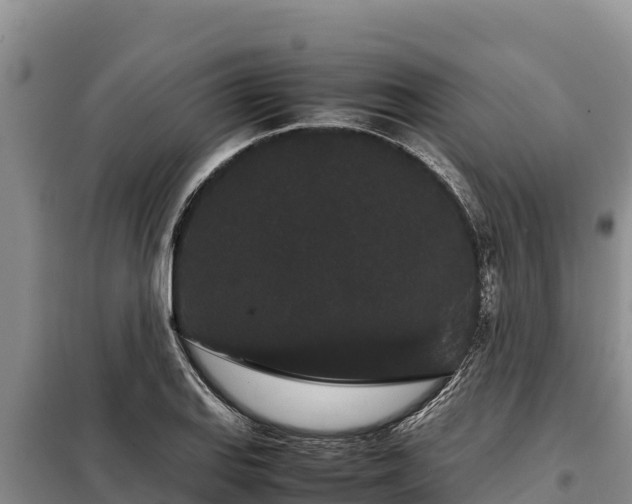 X0000099311127200805091011