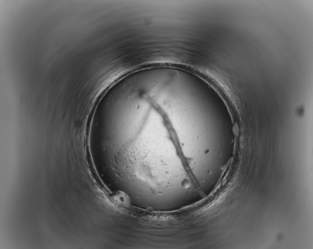 X0000099311129200805091011
