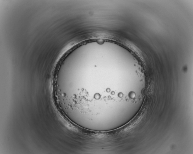 X0000099311130200805091011