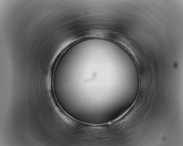 X0000099311131200805091011