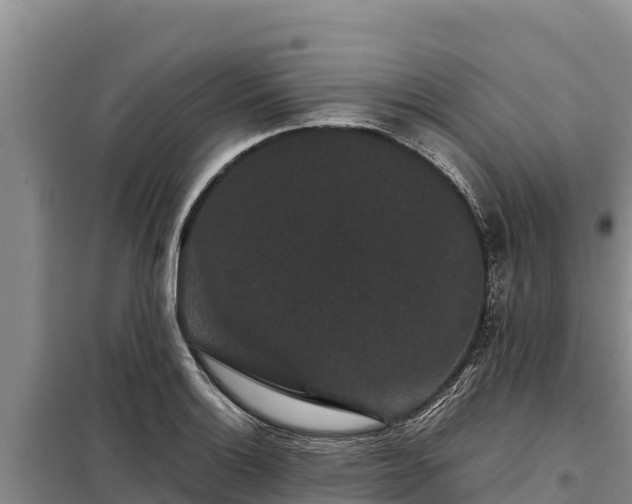 X0000099311132200805091011