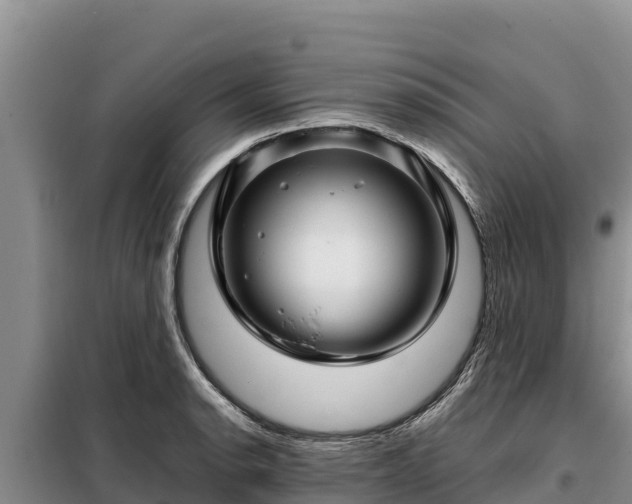 X0000099311134200805091012