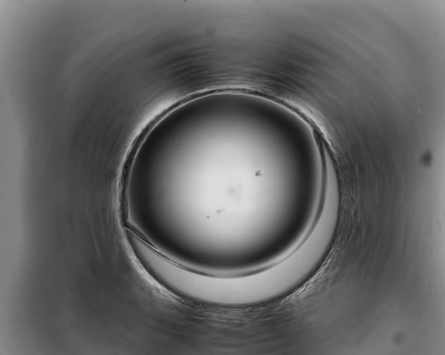 X0000099311135200805091012