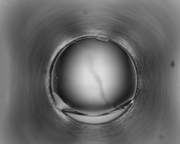 X0000099311136200805091012