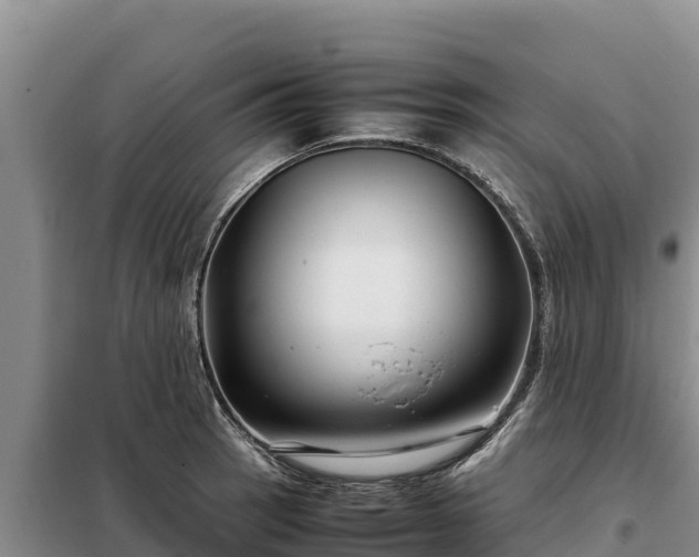 X0000099311137200805091012