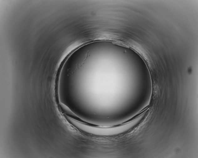 X0000099311138200805091012