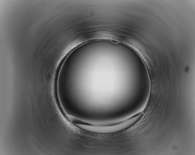 X0000099311139200805091012