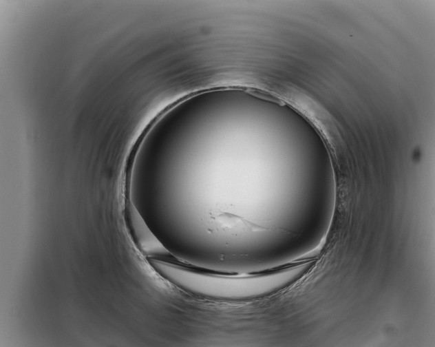 X0000099311140200805091012