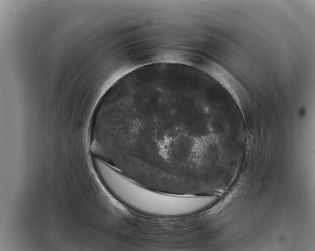 X0000099311141200805091012