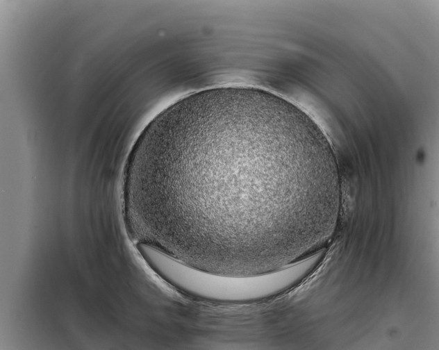 X0000099311142200805091012