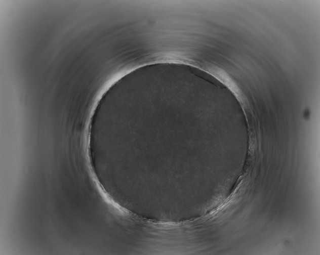 X0000099311144200805091012