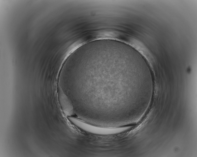 X0000099311145200805091012