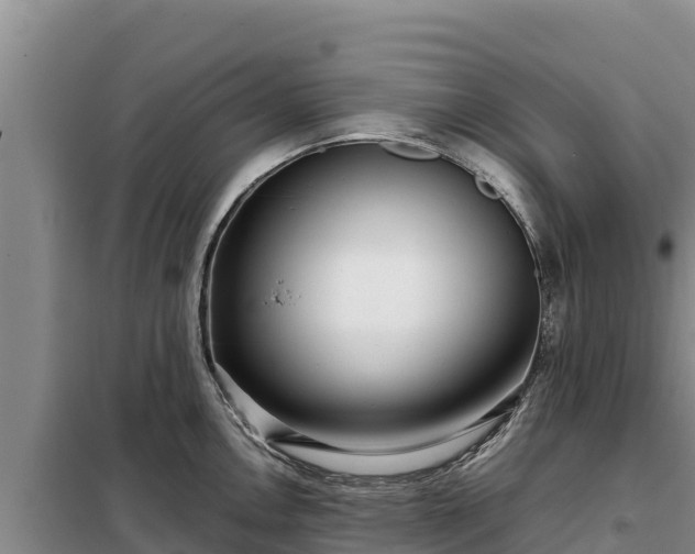 X0000099311146200805091012