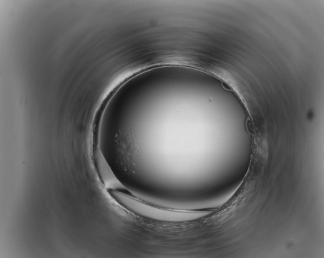 X0000099311147200805091012
