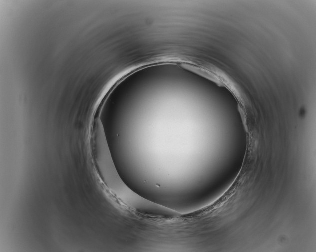 X0000099311148200805091012