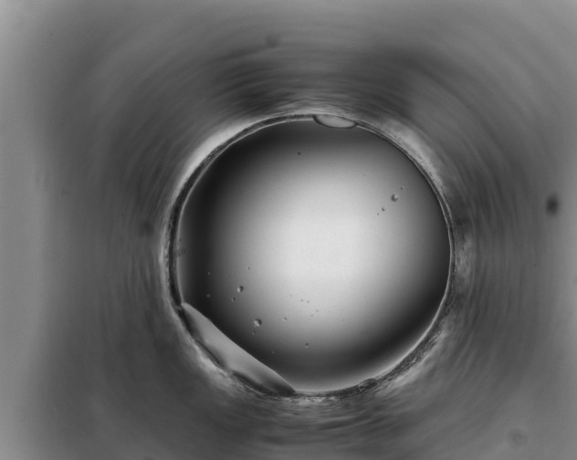 X0000099311149200805091012