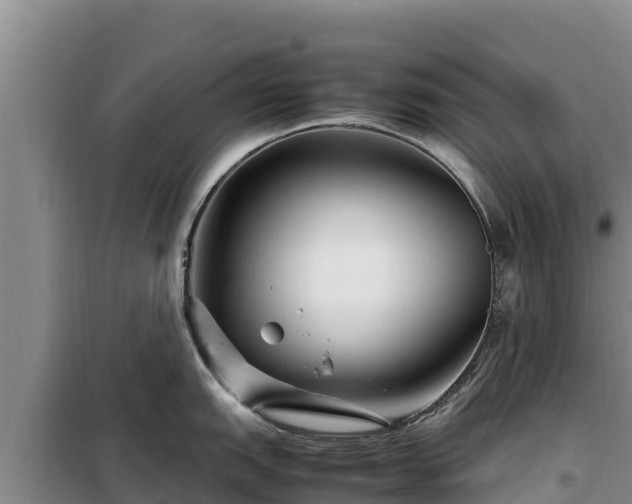 X0000099311151200805091012